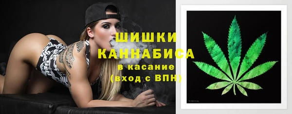 гашик Тайга