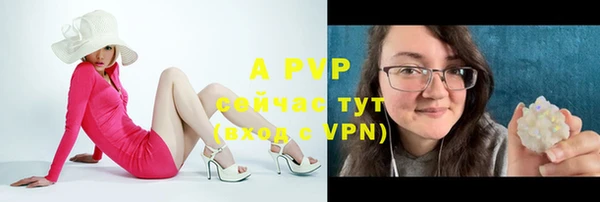 крисы Зеленокумск