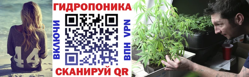 Шишки марихуана семена  Костомукша 