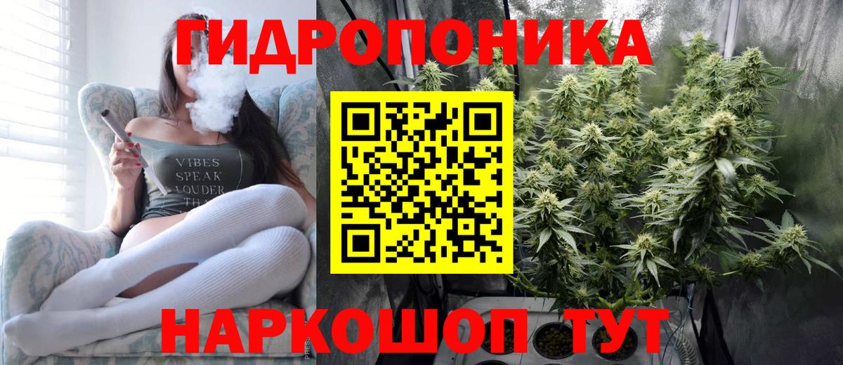 Конопля индика Костомукша